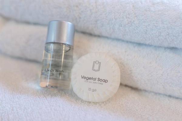 Hotel Orion image 31