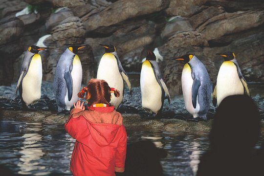 Tour image 6